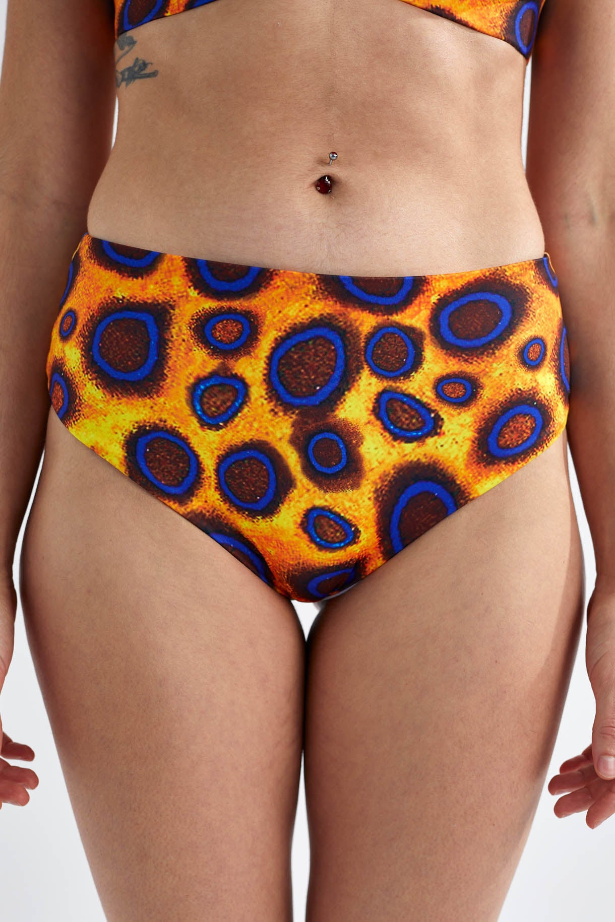 Wild Rise Bottom - Blue Ringed Octopus Blue Ringed Octopus