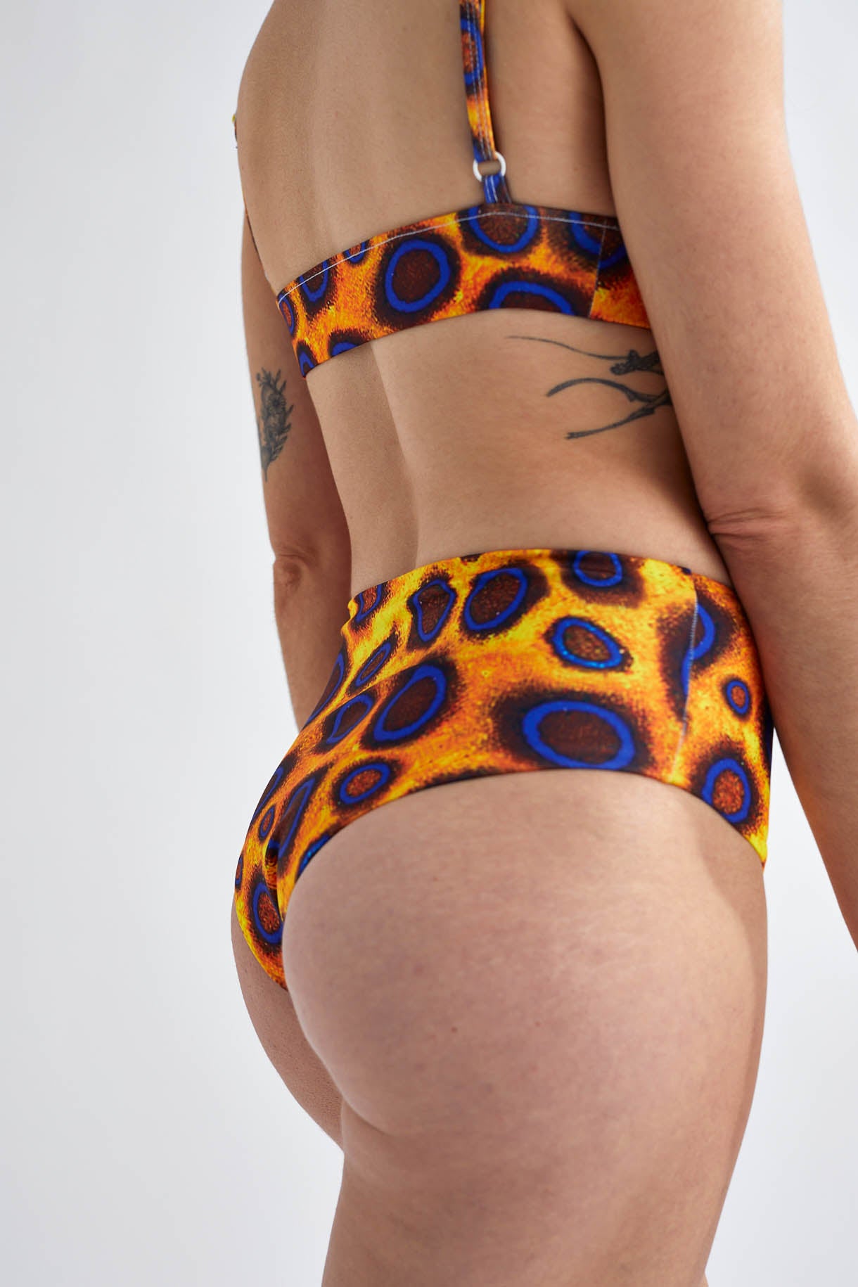 Wild Rise Bottom - Blue Ringed Octopus Blue Ringed Octopus