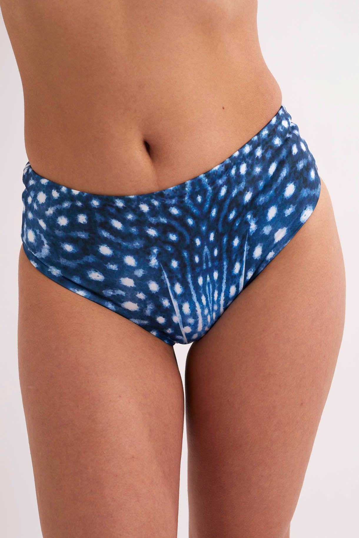 Wild Rise Bottom - Blue Whale Shark Blue Whale Shark
