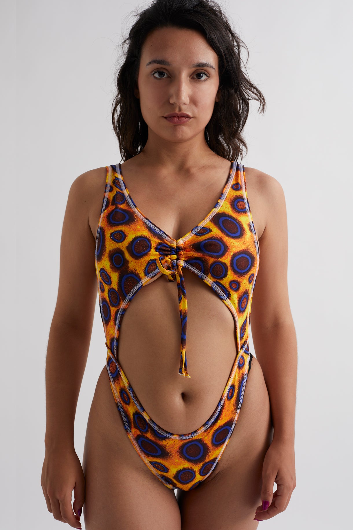 COMING SOON Blue Ringed Octopus