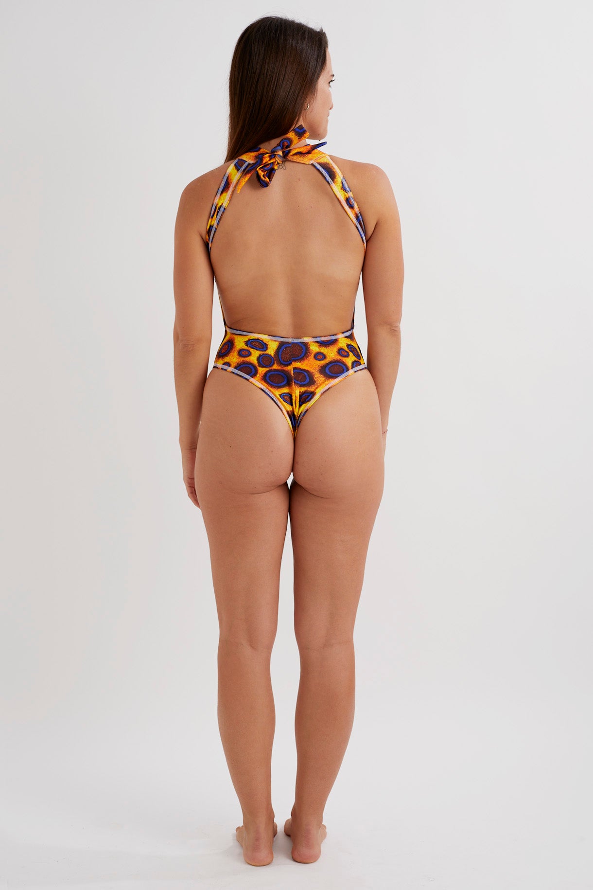 COMING SOON Blue Ringed Octopus