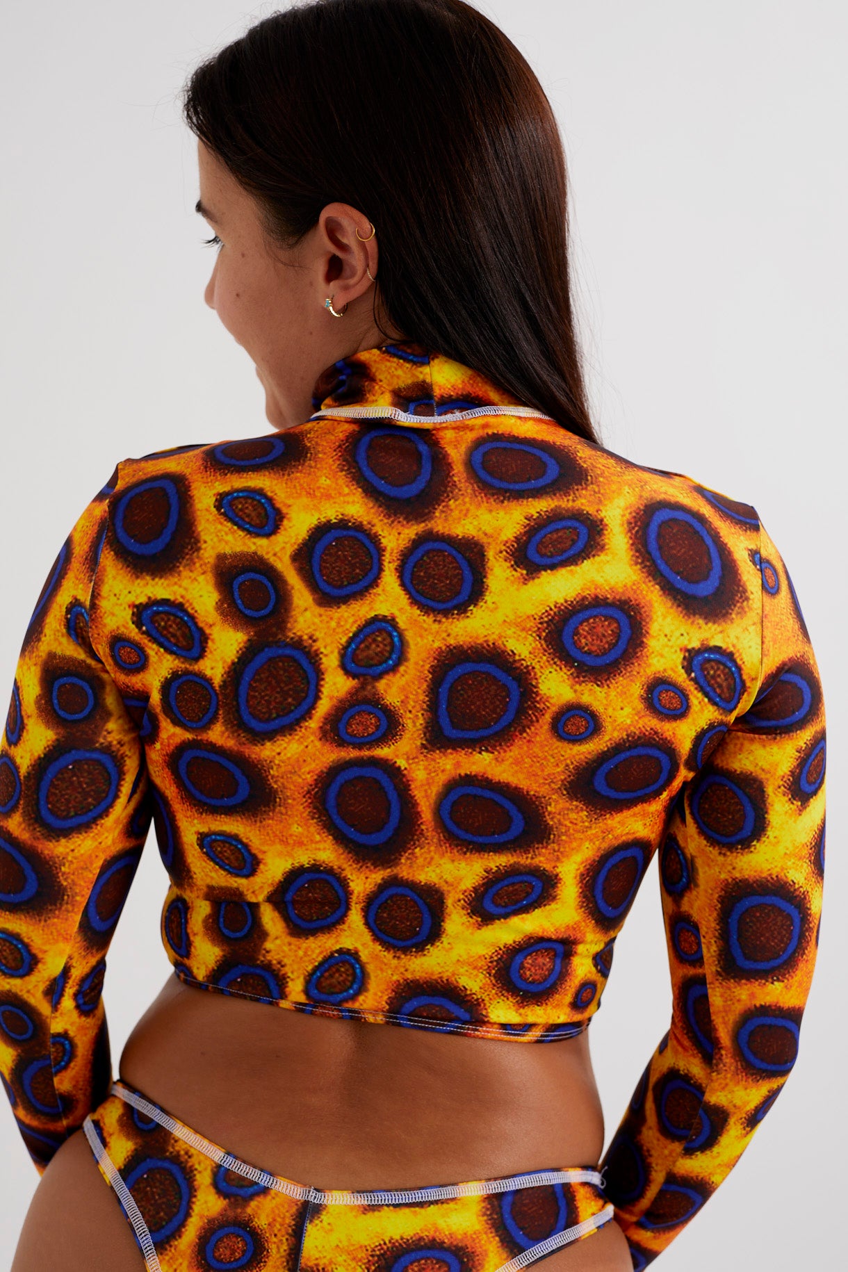 COMING SOON Blue Ringed Octopus