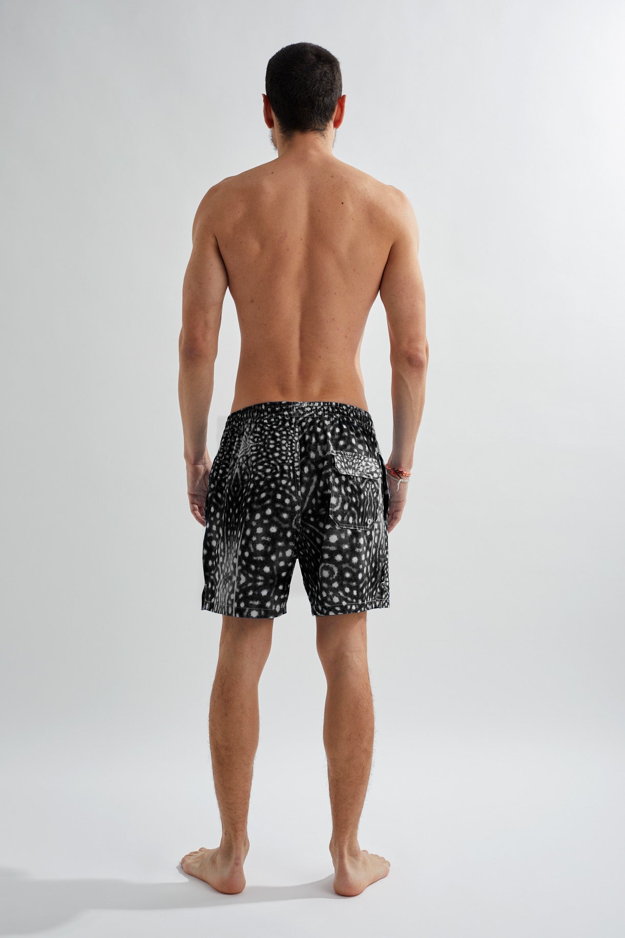 Men's Shorts - Black Whale Shark Black Whale Shark